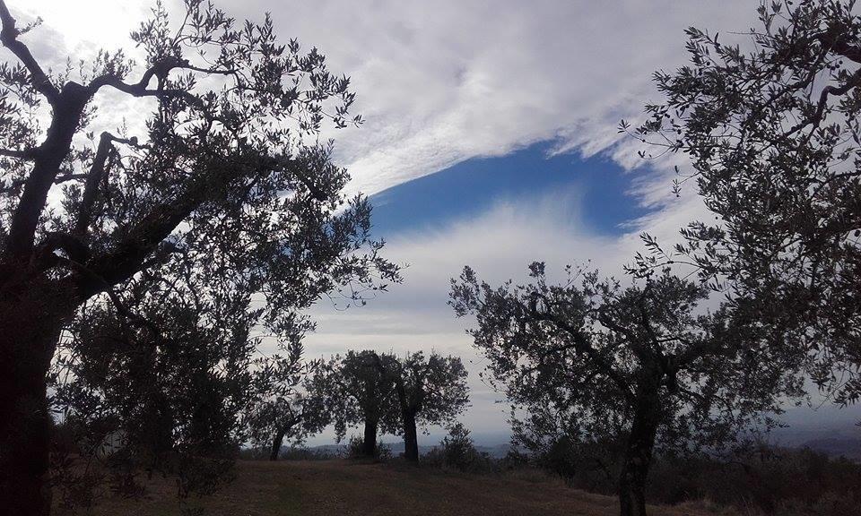 Tramonti E Valli Calvi dell' Umbria Екстер'єр фото